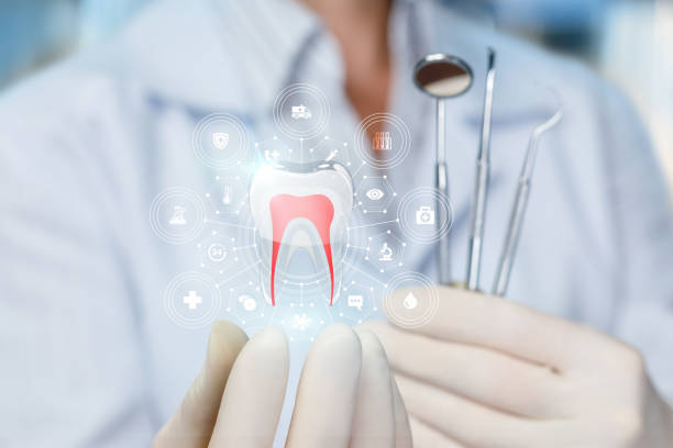 Professional Holistic Dental Care Services in Port Allegany, PA